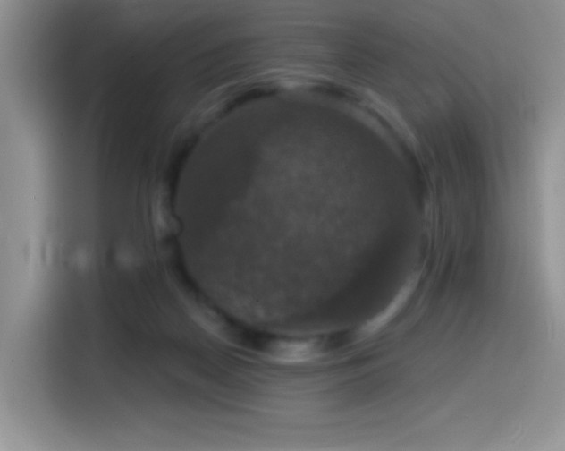 X0000114580170200910191530