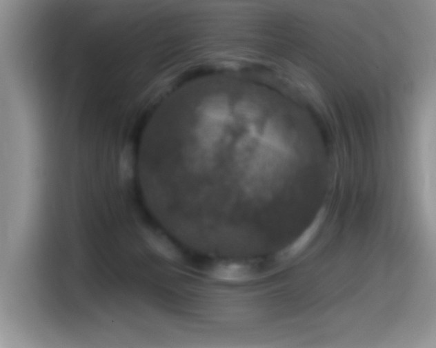 X0000114580174200910191530