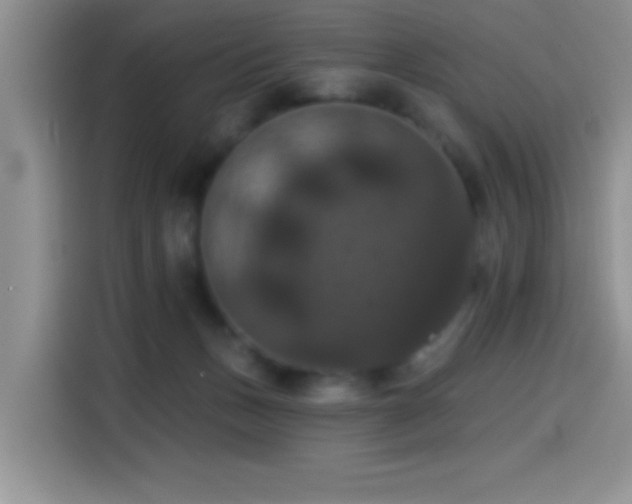 X0000114580175200910191530