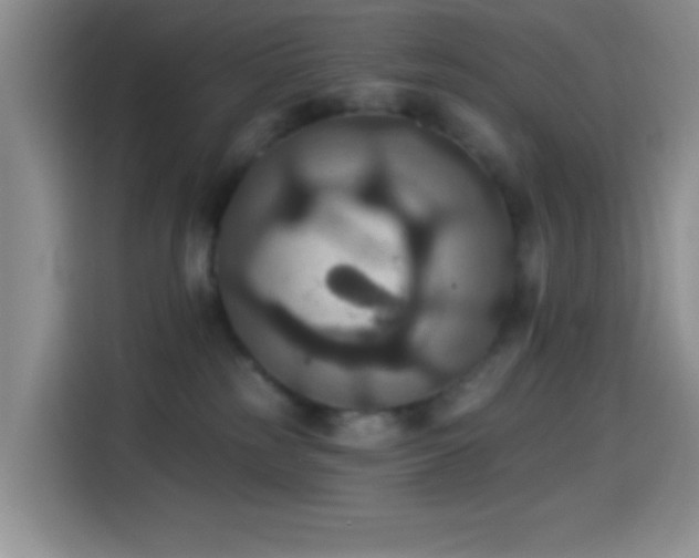 X0000114580185200910191530