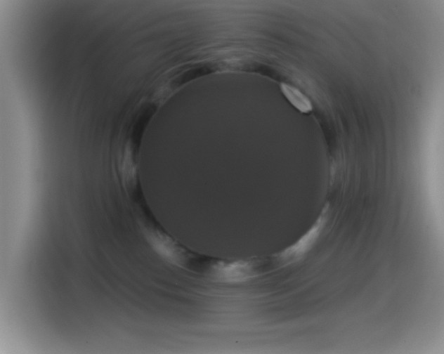 X0000114580186200910191530