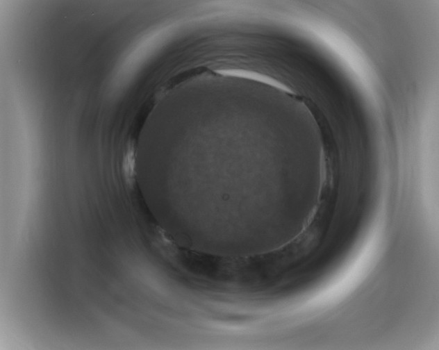 X0000114580190200910191530