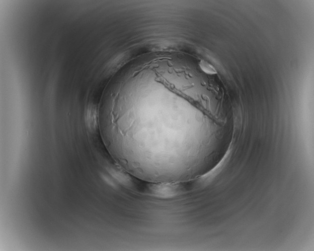 X0000114580191200910191530