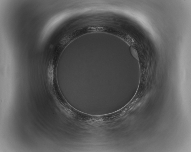 X0000114580194200910191530