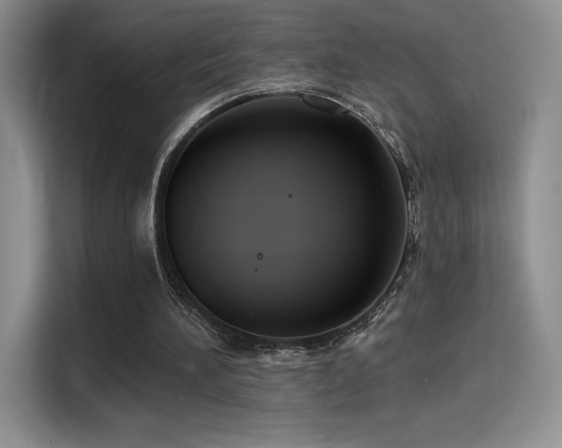 X0000114580196200910191530