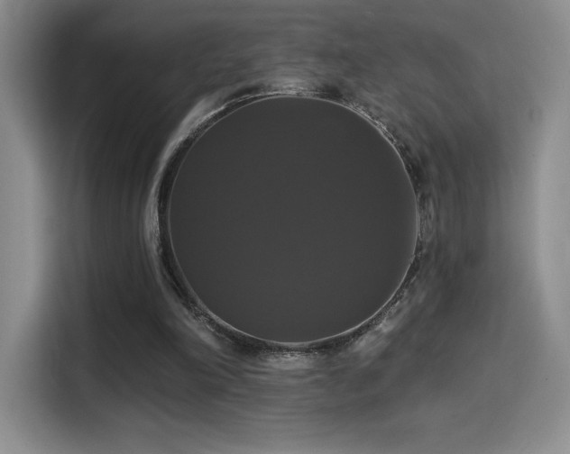 X0000114580198200910191530