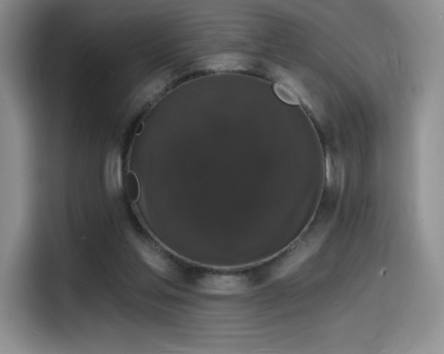 X0000114580205200910191530