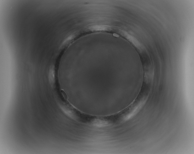 X0000114580207200910191530