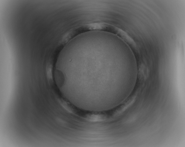 X0000114580209200910191530