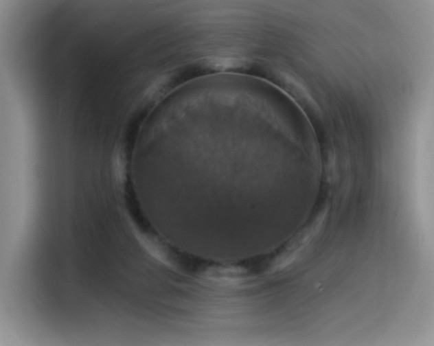 X0000114580210200910191530