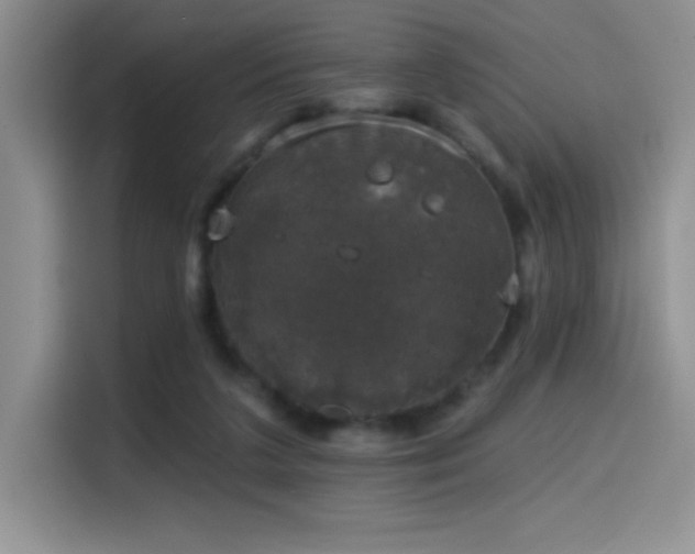 X0000114580211200910191530