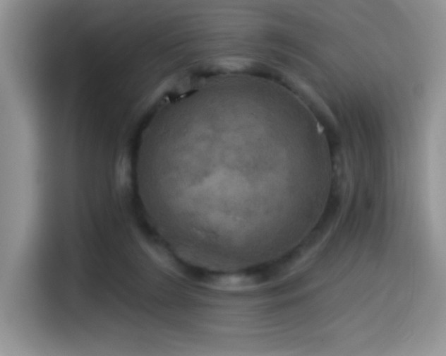 X0000114580212200910191530