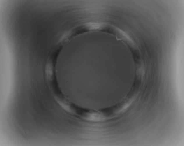 X0000114580215200910191530