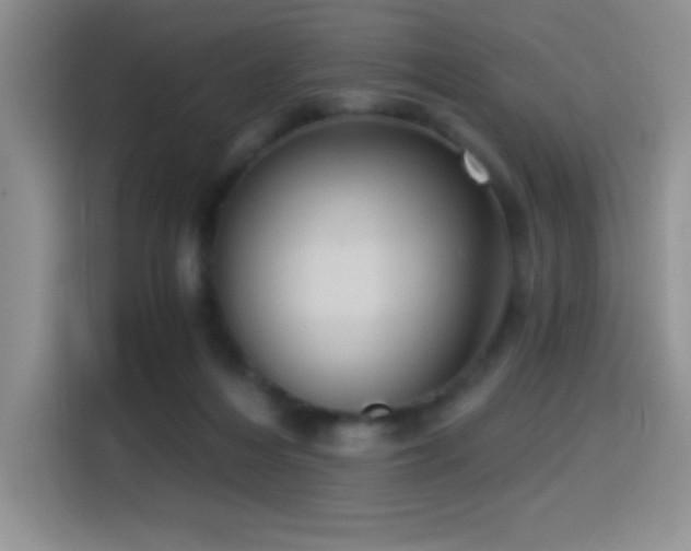 X0000114580216200910191530