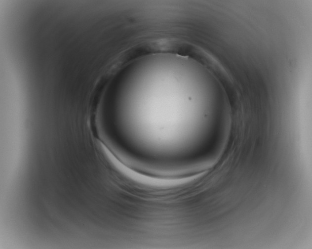 X0000114580217200910191530