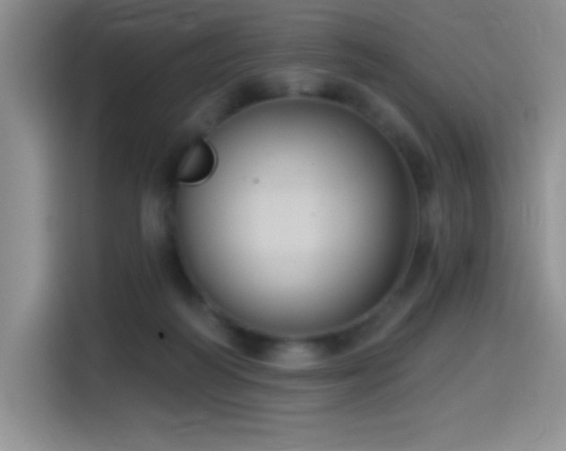 X0000114580218200910191530