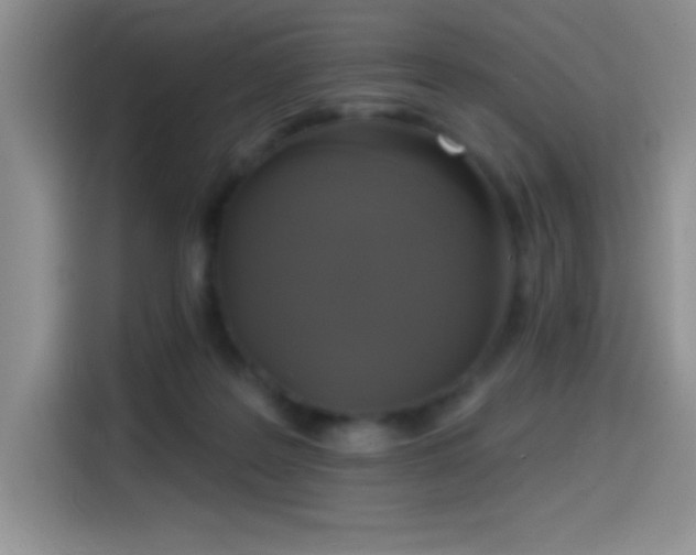 X0000114580219200910191530