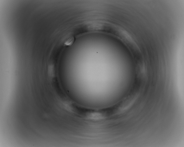 X0000114580224200910191529