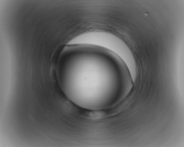 X0000114580225200910191529