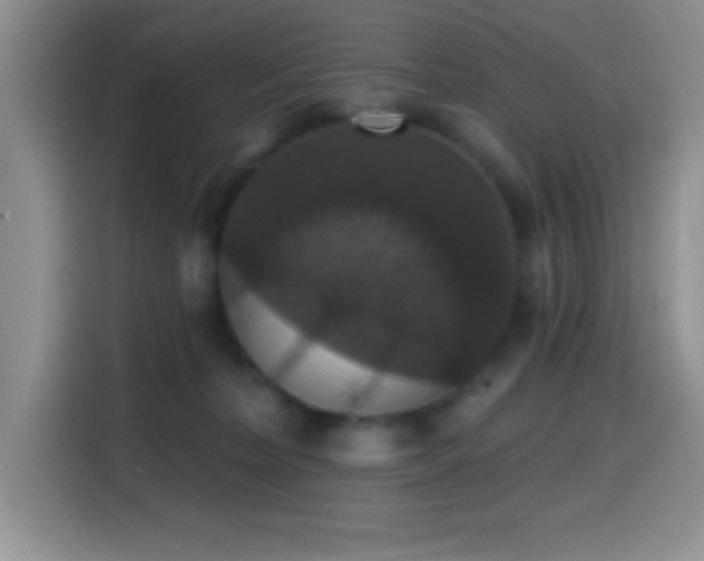 X0000114580228200910191529