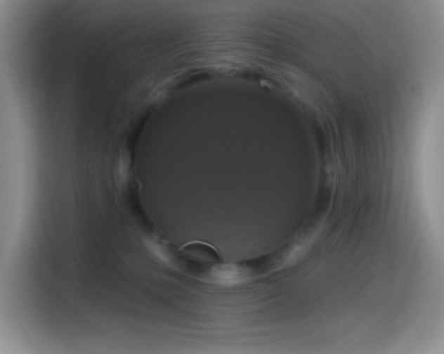 X0000114580231200910191529