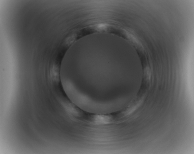 X0000114580234200910191529