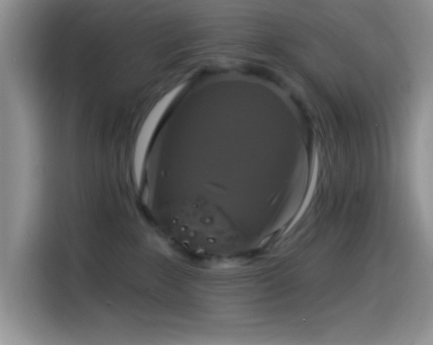 X0000114580235200910191529