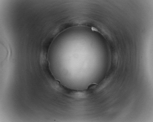 X0000114580236200910191529