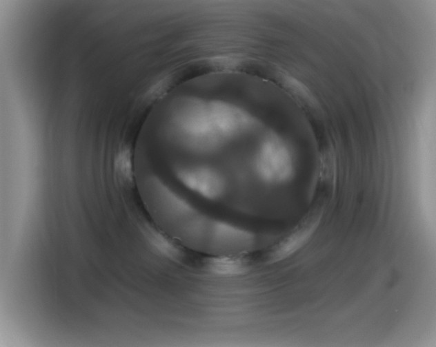 X0000114580238200910191529