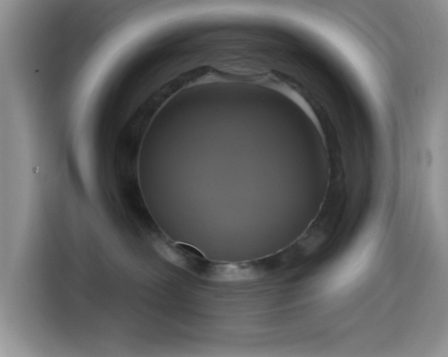 X0000114580239200910191529