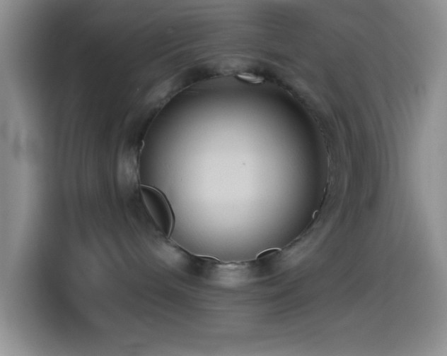 X0000114580240200910191529