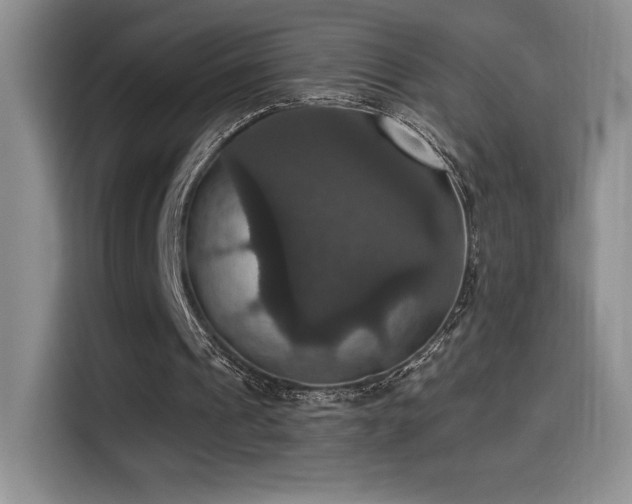 X0000114580241200910191529