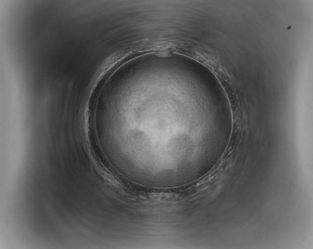 X0000114580242200910191529