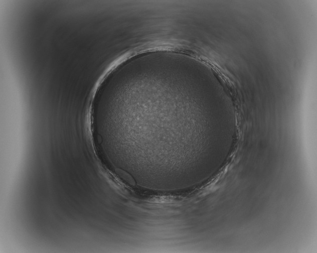 X0000114580244200910191529