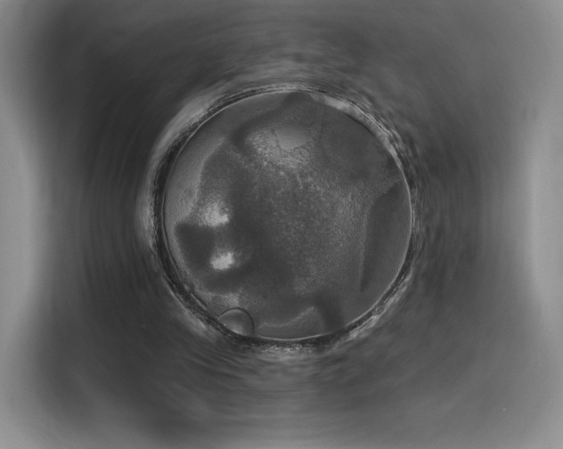 X0000114580245200910191529