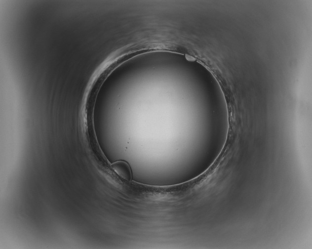 X0000114580246200910191529