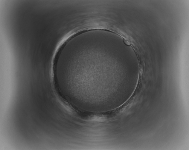 X0000114580248200910191529