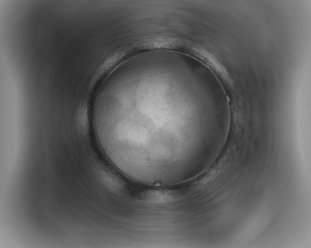 X0000114580250200910191529