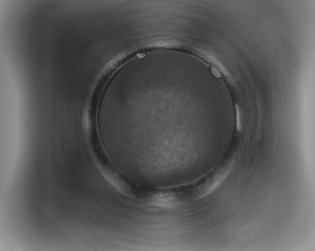 X0000114580252200910191529