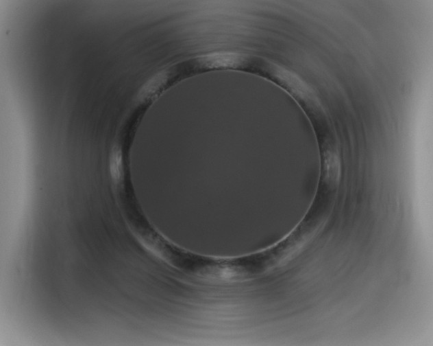 X0000114580254200910191529