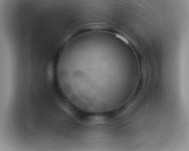 X0000114580255200910191529