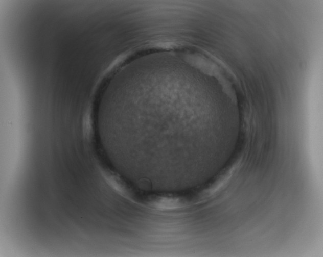 X0000114580256200910191529