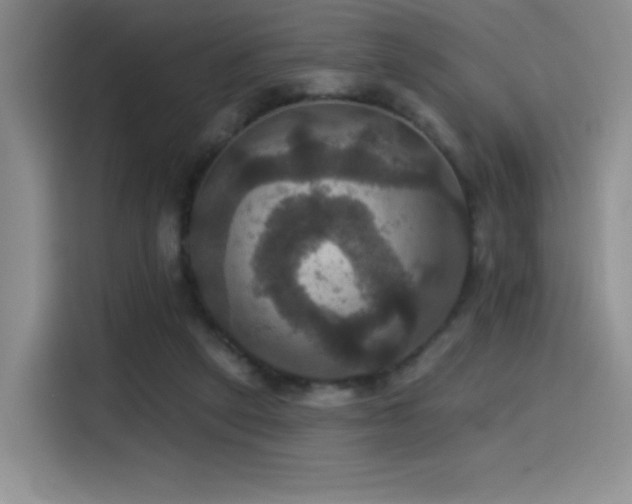 X0000114580257200910191529