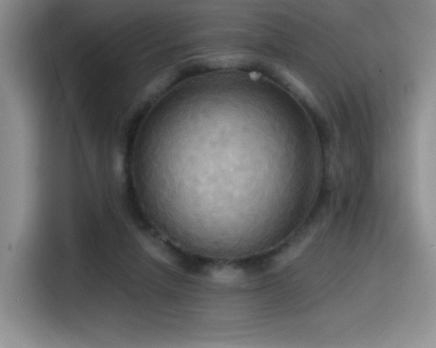 X0000114580258200910191529