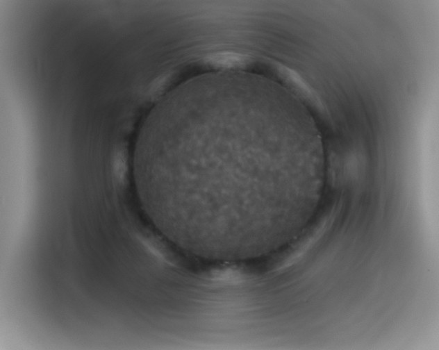 X0000114580259200910191529