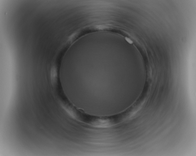 X0000114580260200910191529