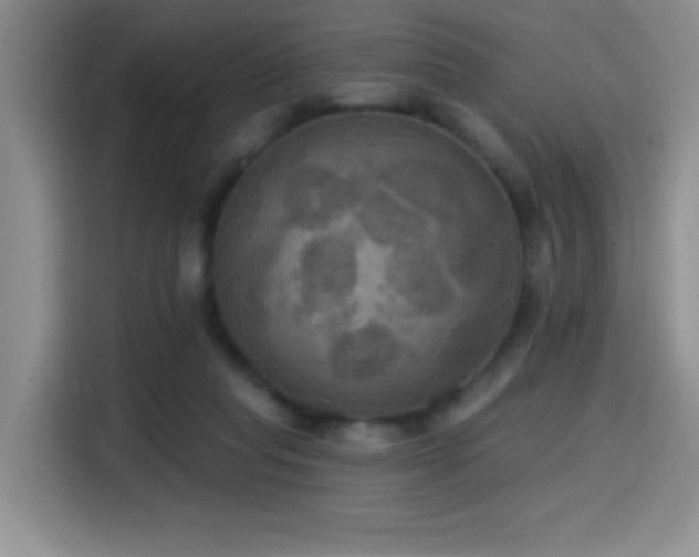 X0000114580261200910191529