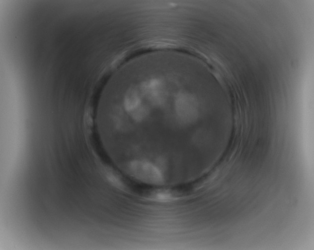 X0000114580264200910191529