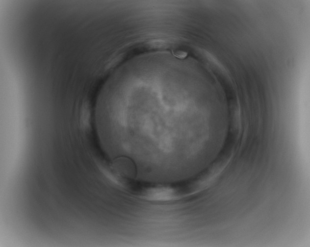 X0000114580266200910191529