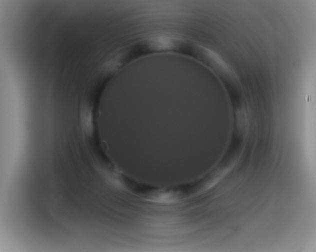 X0000114580267200910191529